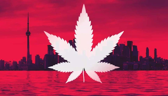 Cannabis: Creating a Culture of Trust and Quality